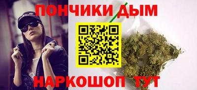 сатива Нальчик
