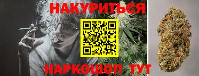 сатива Нальчик