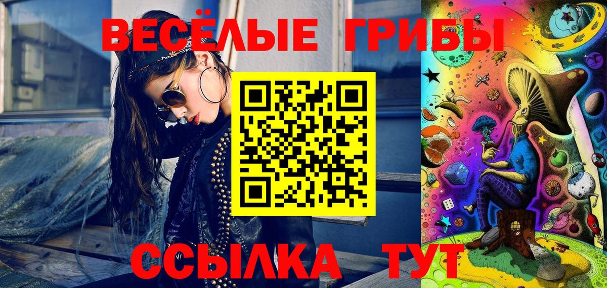 Хасавюрт  Псилоцибиновые грибы GOLDEN TEACHER  Вход с VPN 